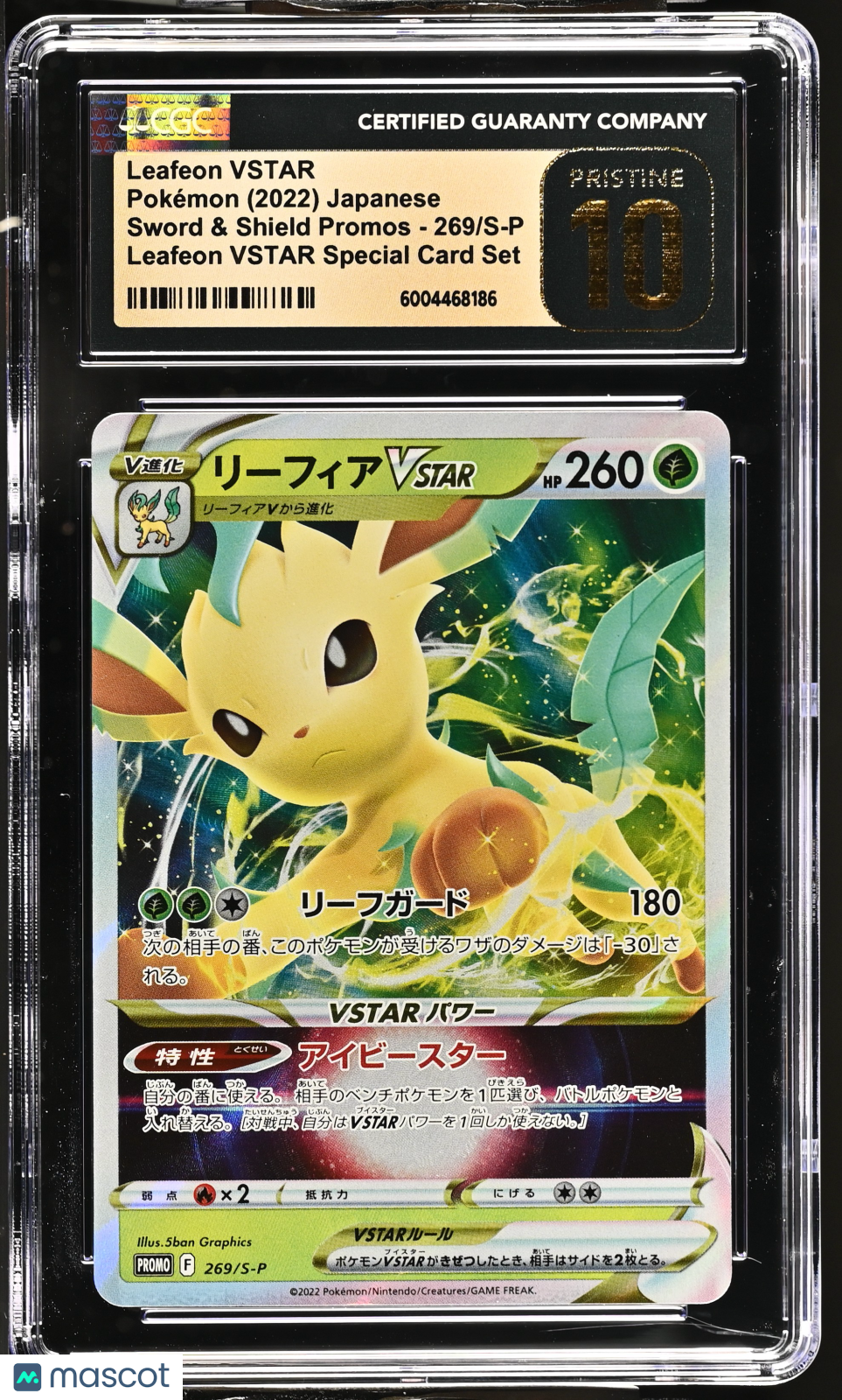 PokéNOLA Collectibles 
