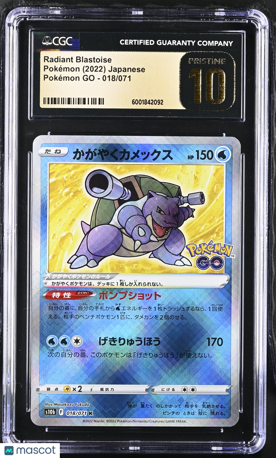 PokéNOLA Collectibles 
