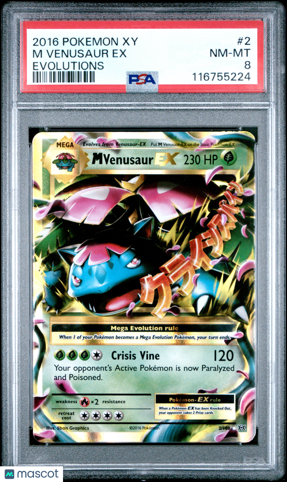 PokéNOLA Collectibles 