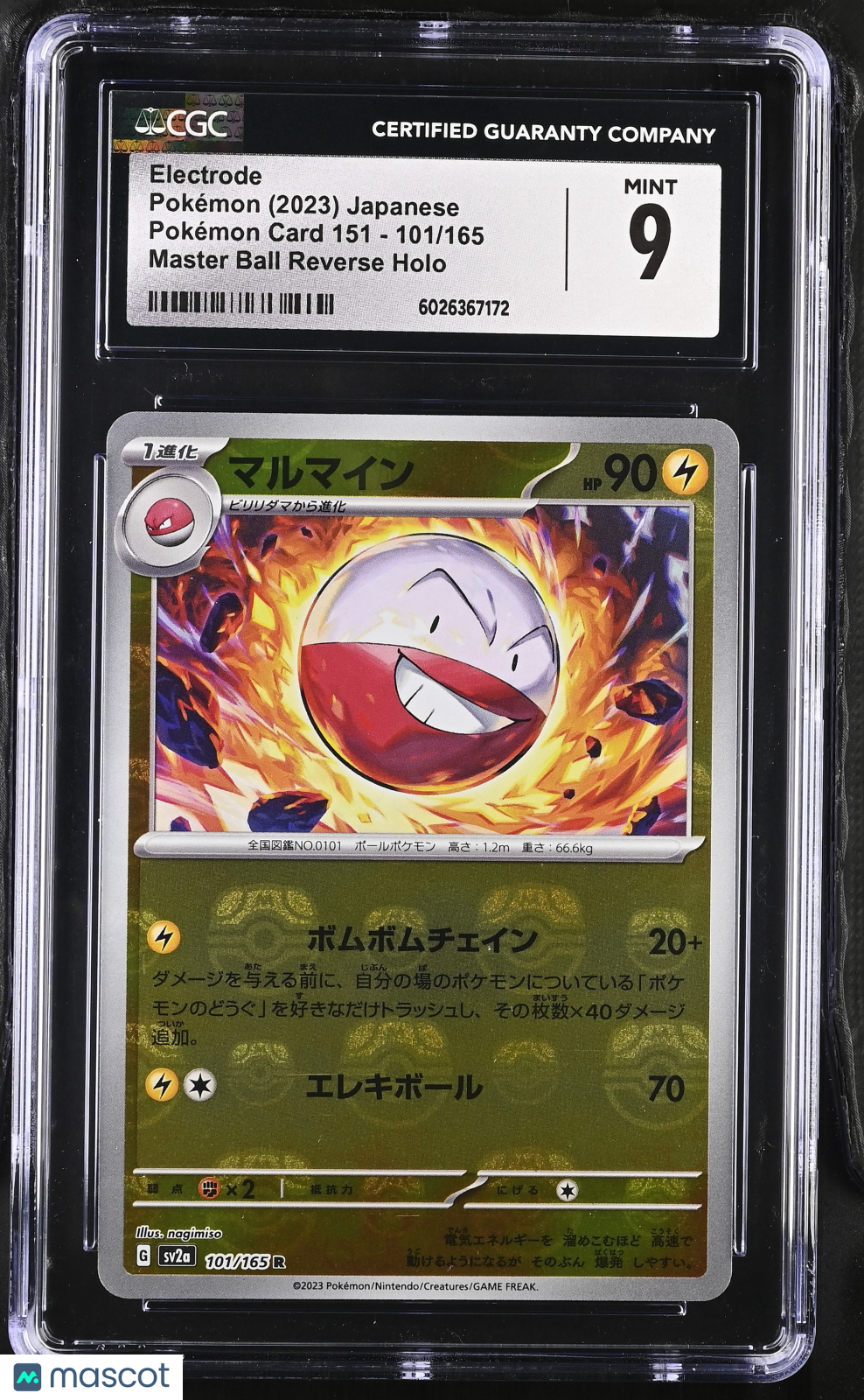 PokéNOLA Collectibles 