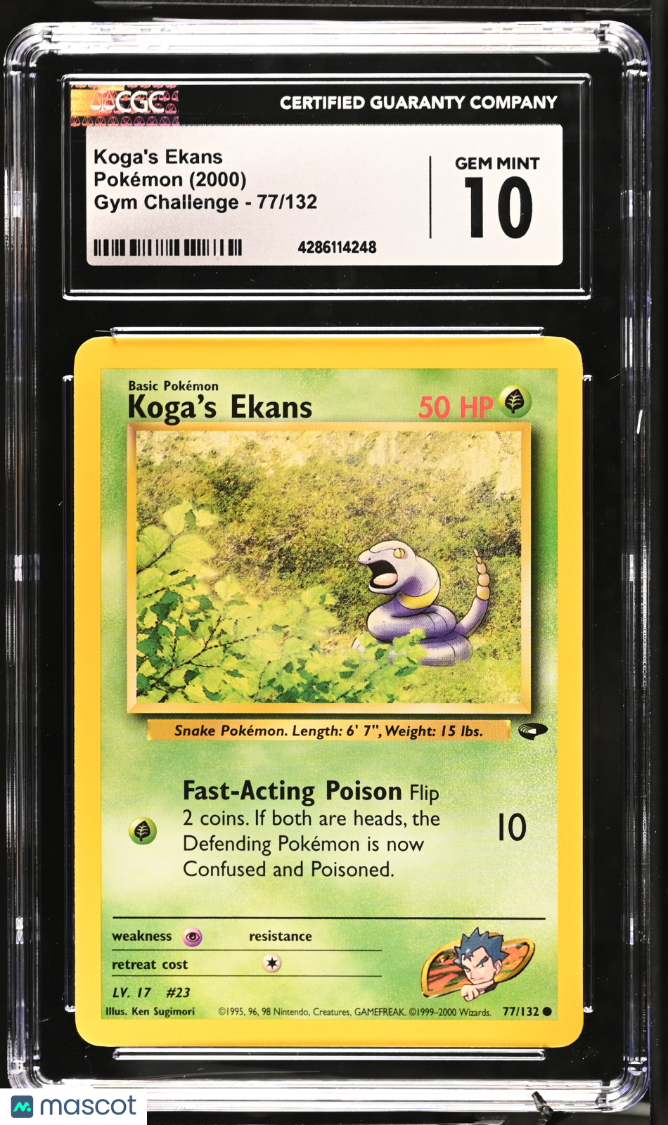 PokéNOLA Collectibles 