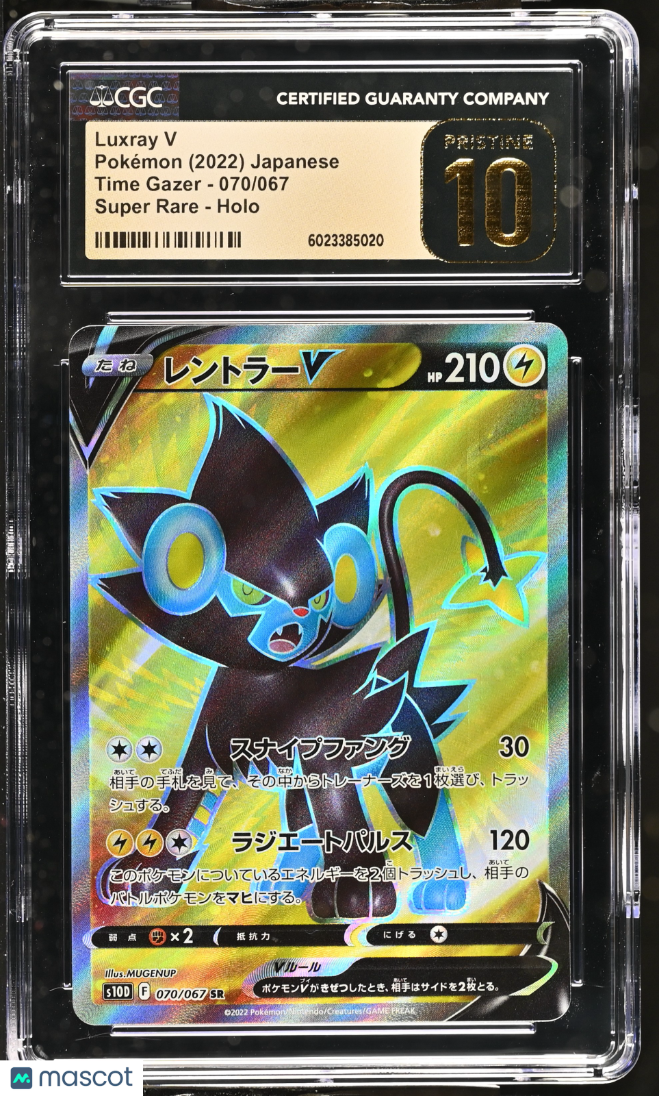 PokéNOLA Collectibles 