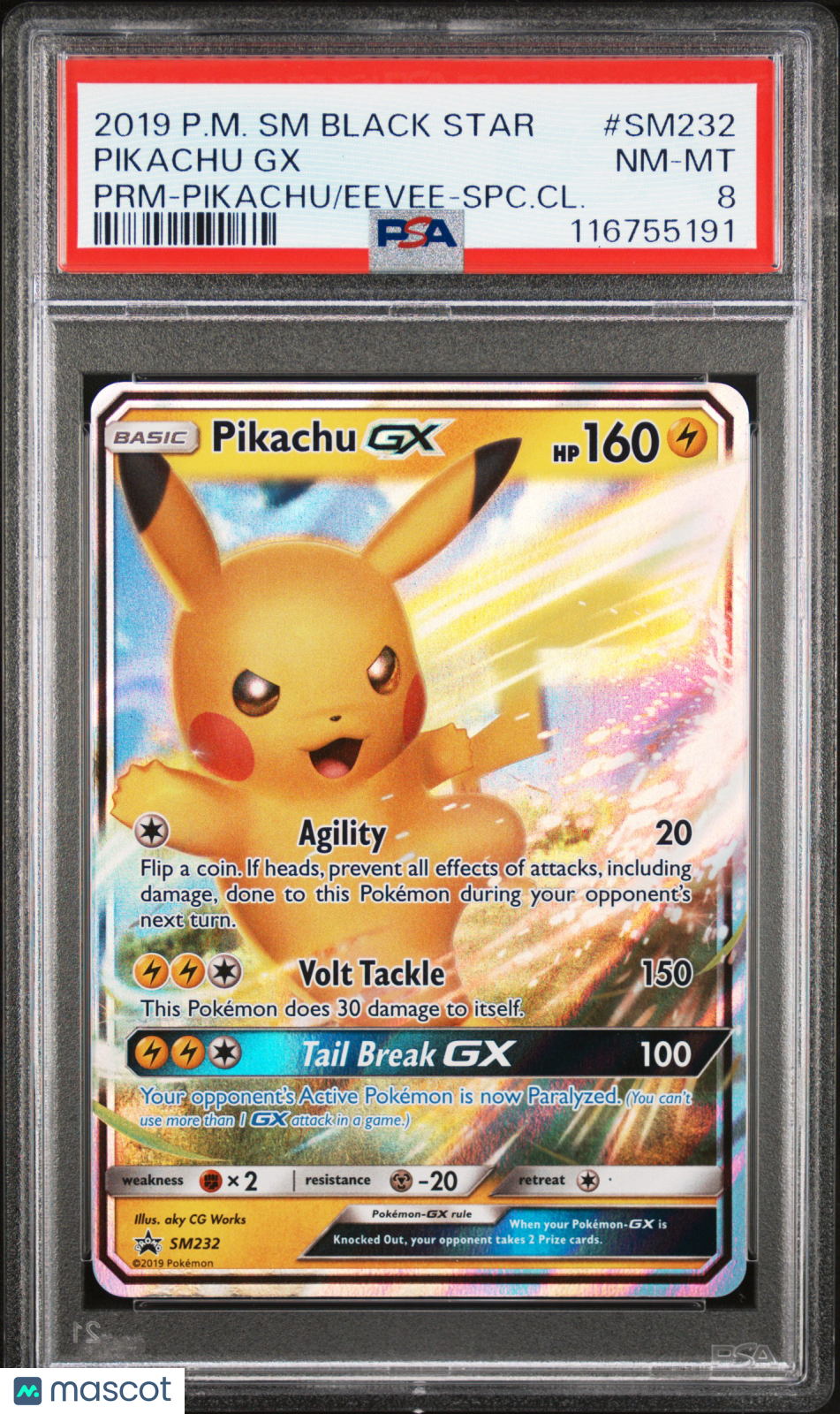 PokéNOLA Collectibles 