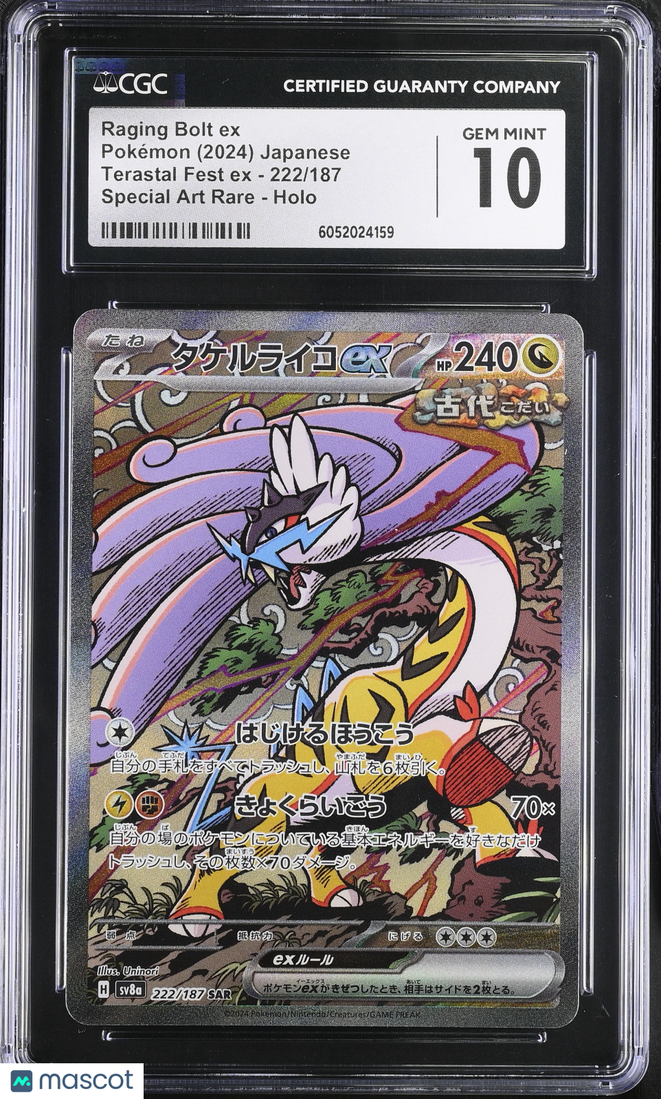 PokéNOLA Collectibles 