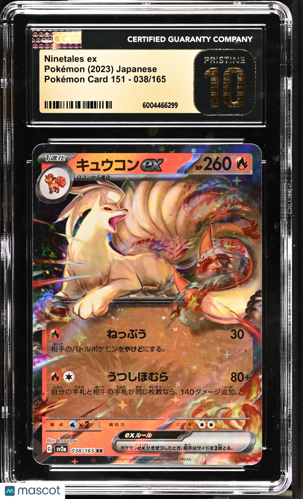 PokéNOLA Collectibles 