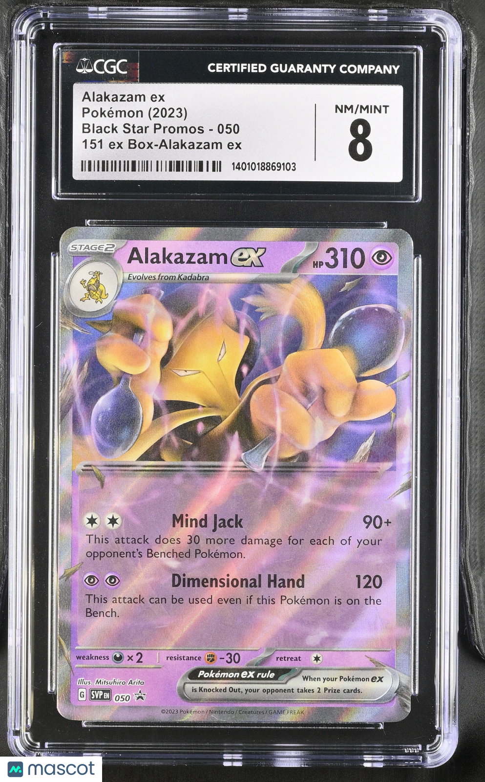 PokéNOLA Collectibles 