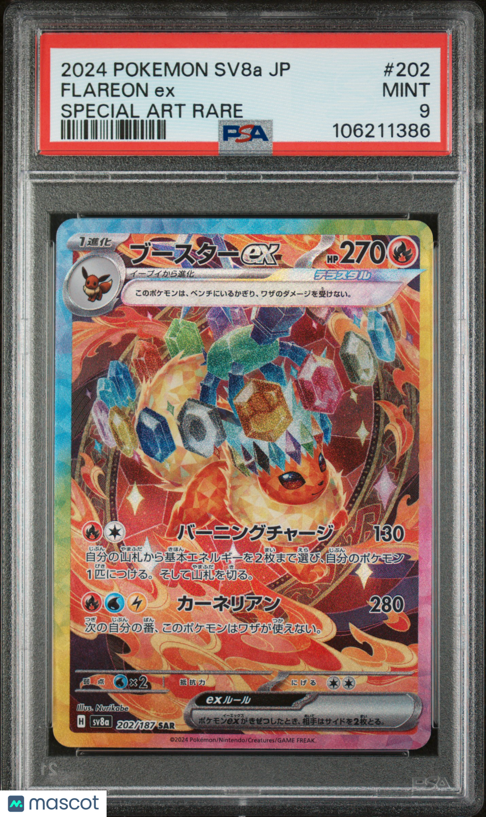 PokéNOLA Collectibles 
