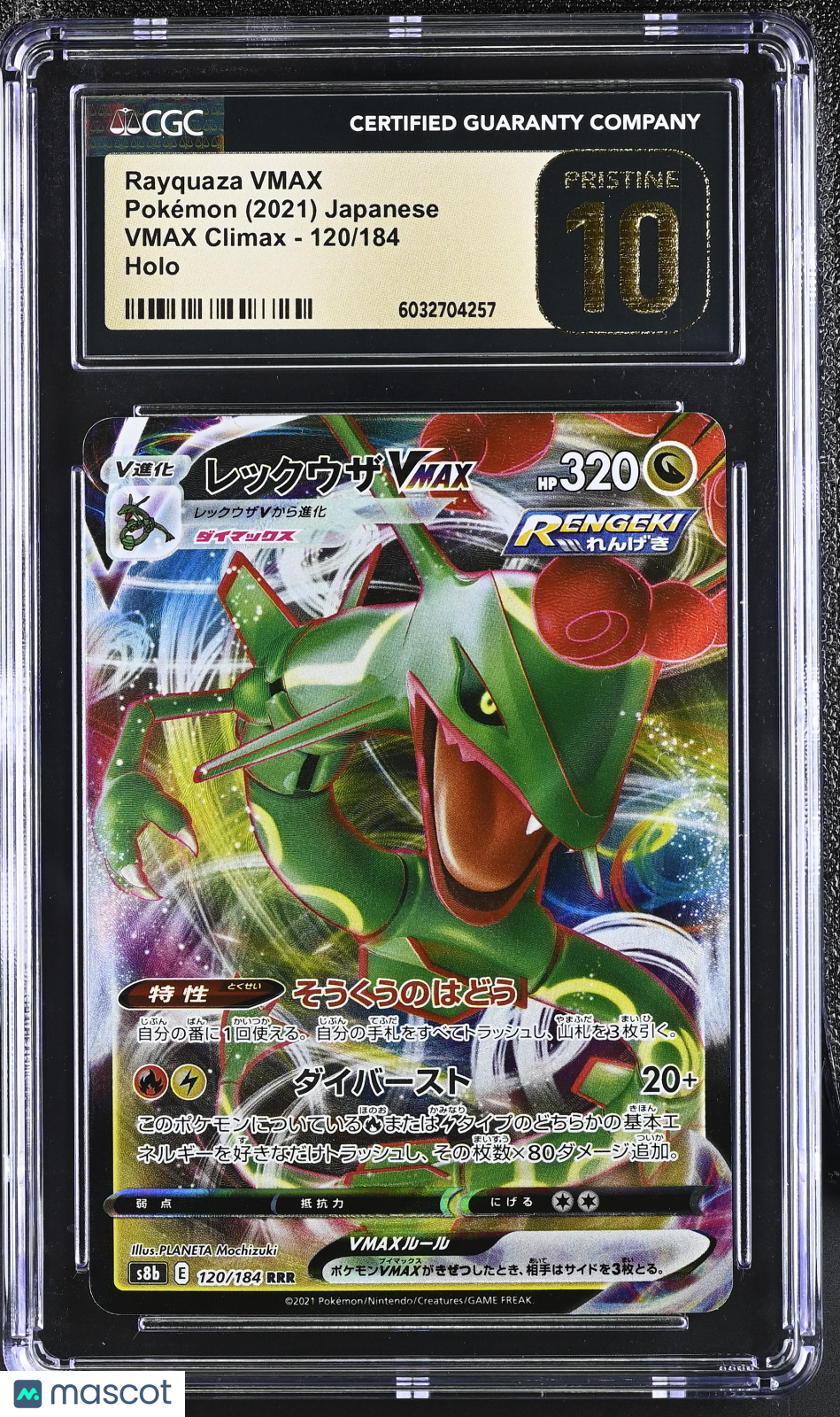 PokéNOLA Collectibles 