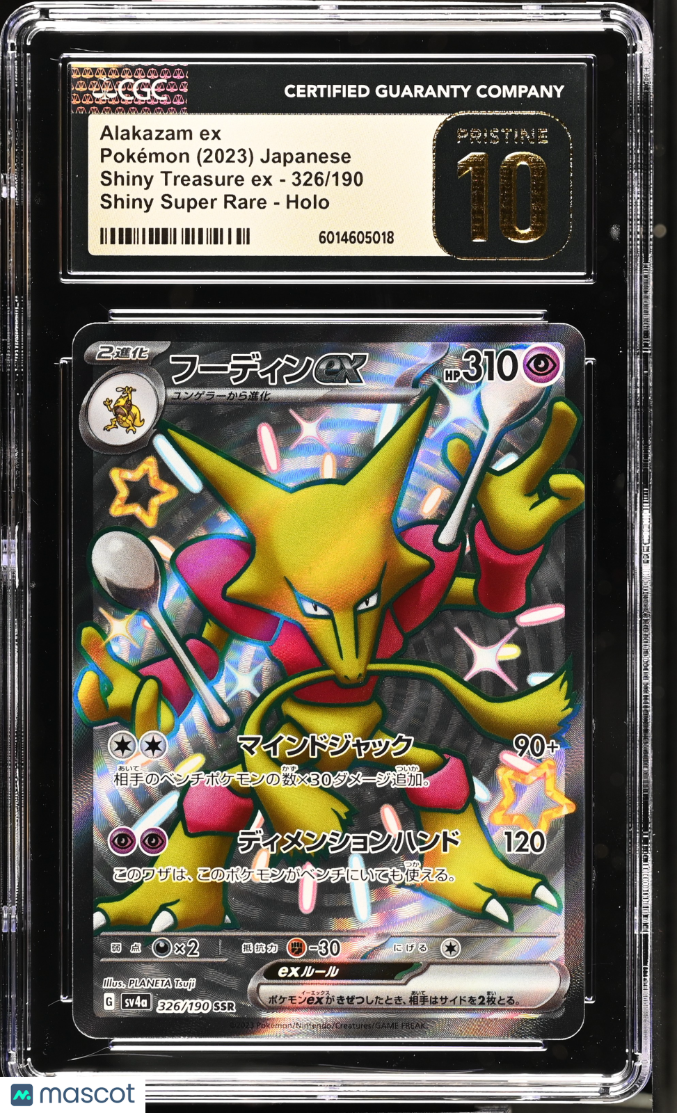 PokéNOLA Collectibles 