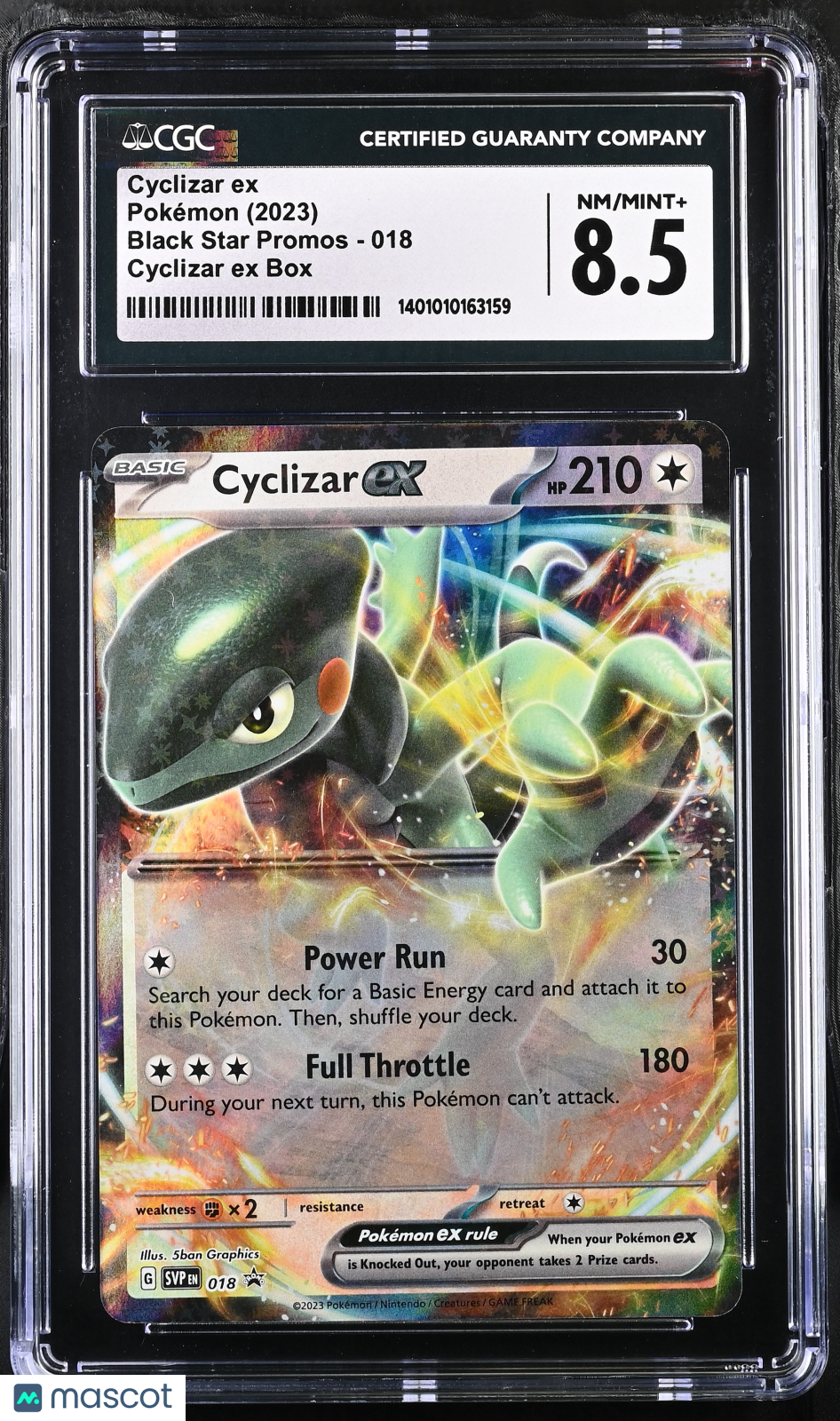 PokéNOLA Collectibles 