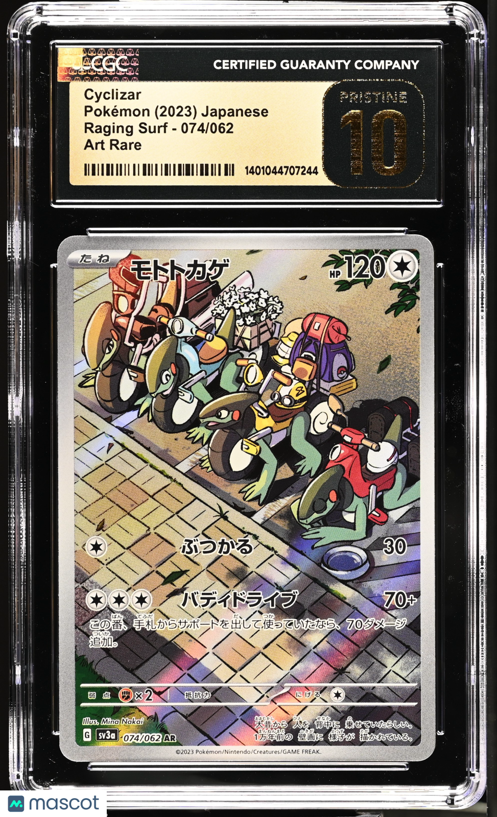 PokéNOLA Collectibles 