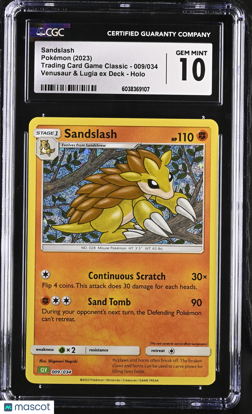 PokéNOLA Collectibles 