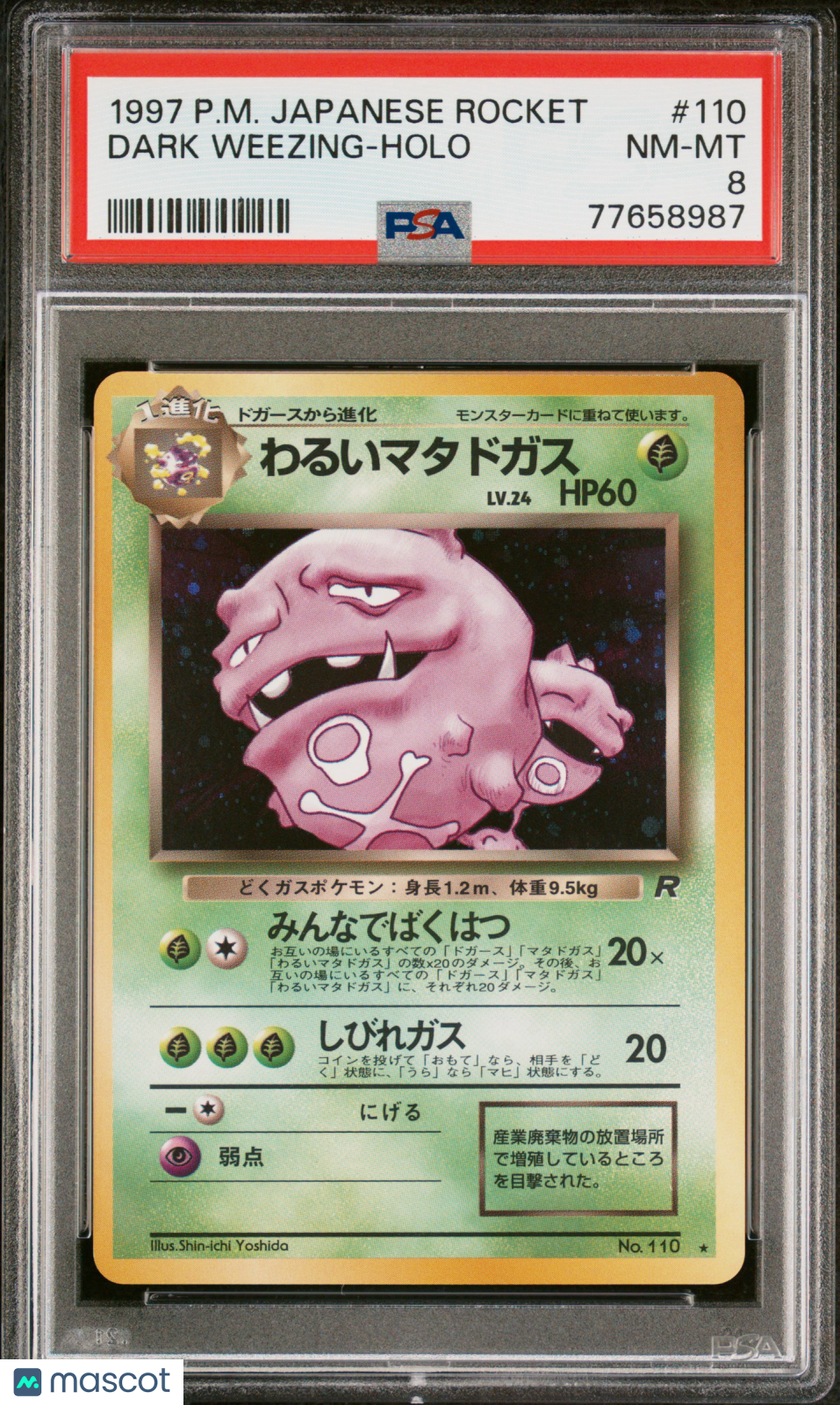 PokéNOLA Collectibles 