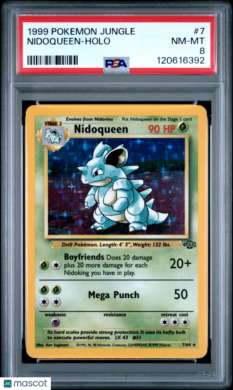 PokéNOLA Collectibles 