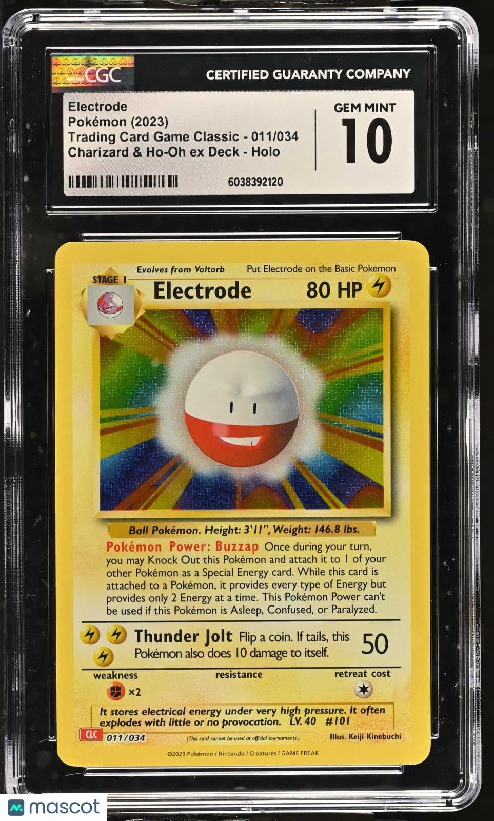 PokéNOLA Collectibles 