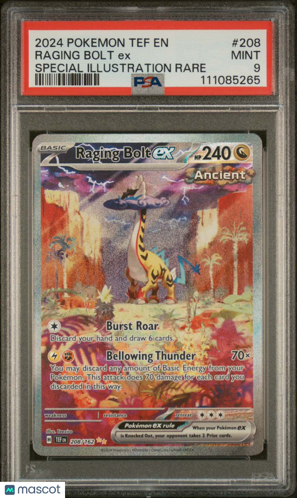 PokéNOLA Collectibles 
