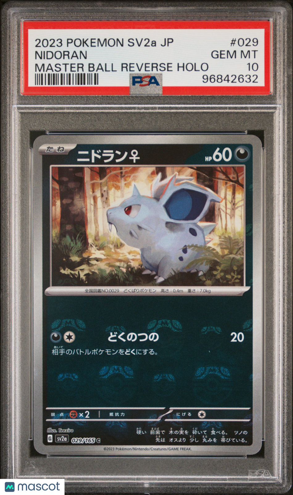 PokéNOLA Collectibles 
