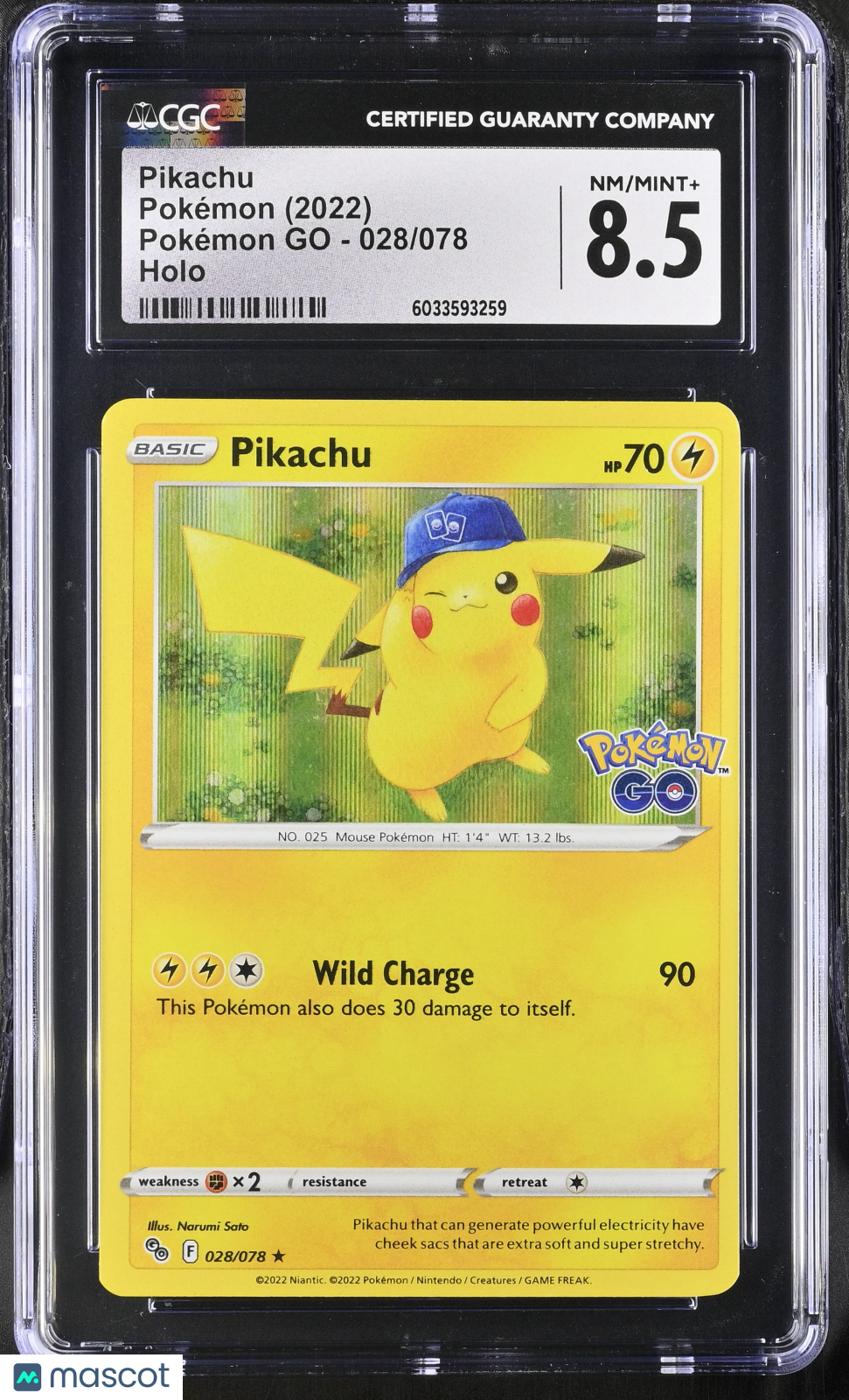 PokéNOLA Collectibles 