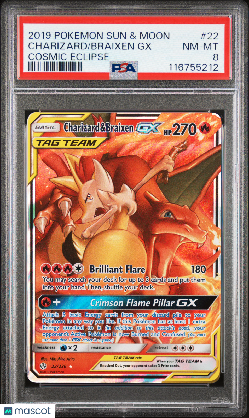 PokéNOLA Collectibles 