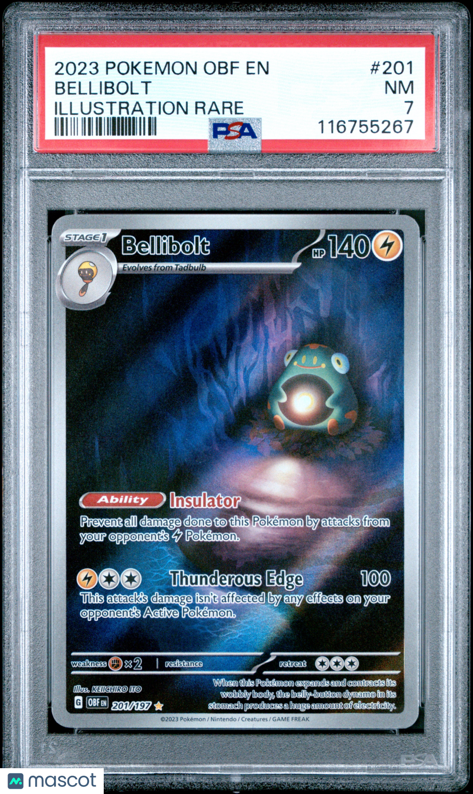 PokéNOLA Collectibles 