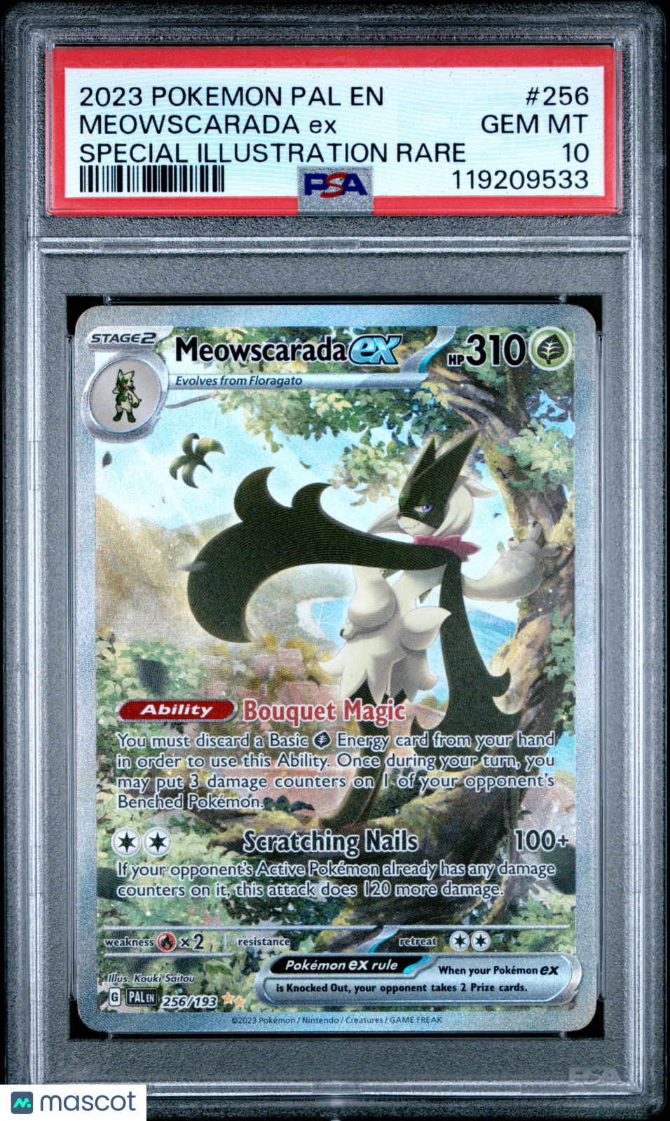 PokéNOLA Collectibles 