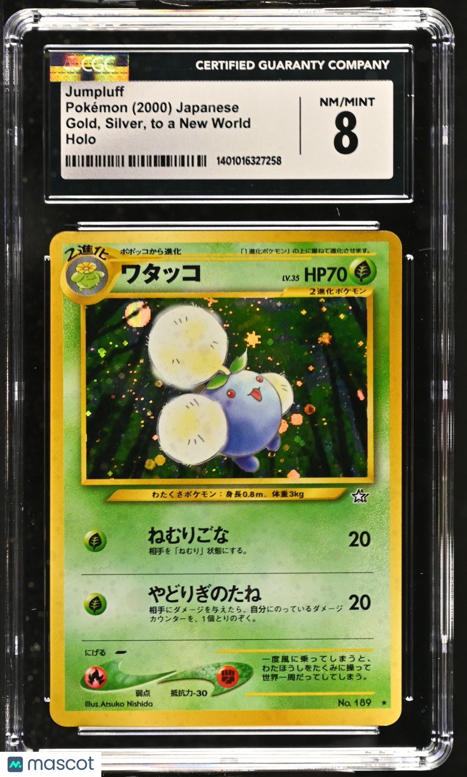 PokéNOLA Collectibles 