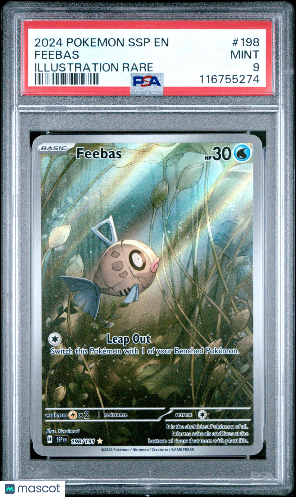 PokéNOLA Collectibles 