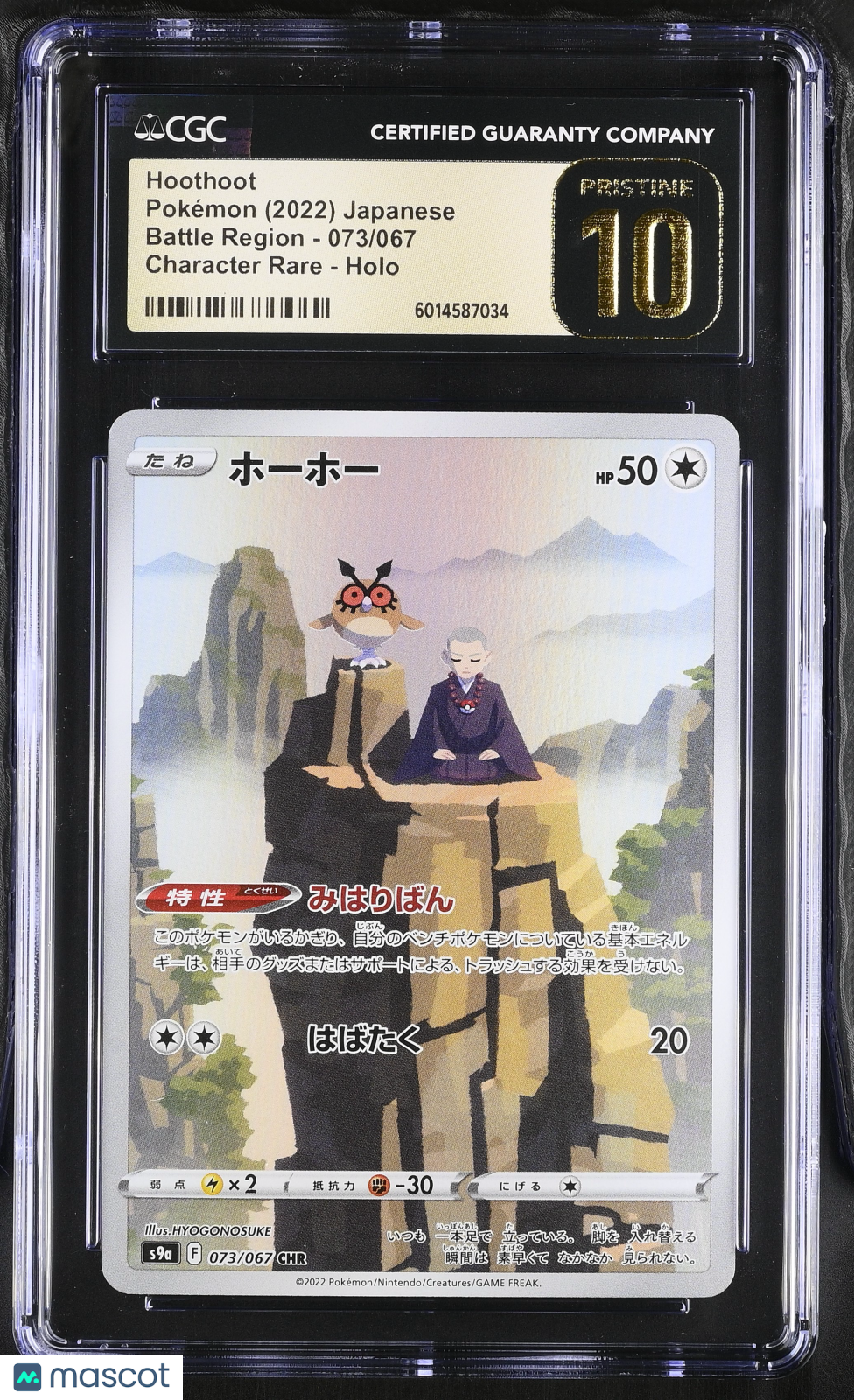 PokéNOLA Collectibles 