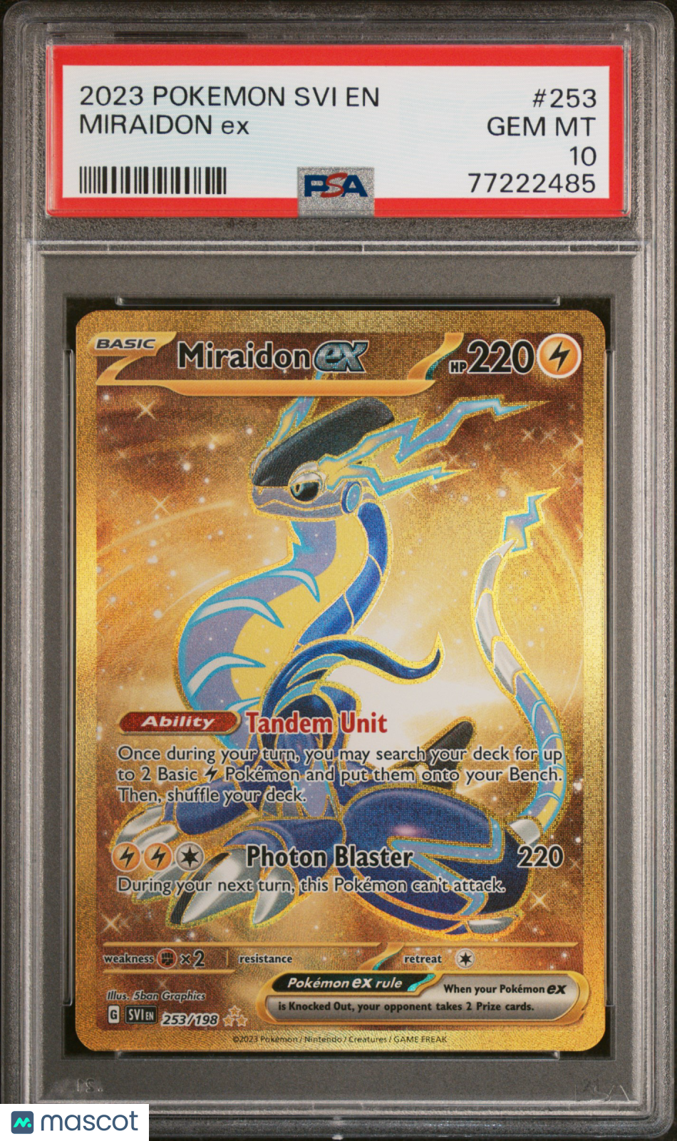 PokéNOLA Collectibles 