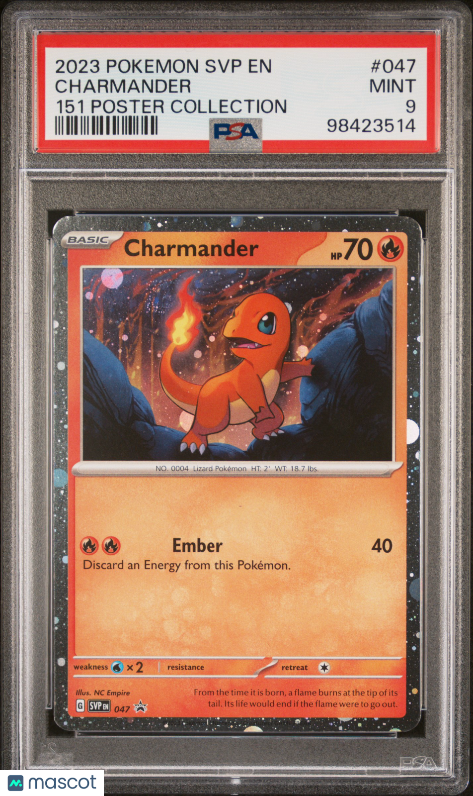 PokéNOLA Collectibles 