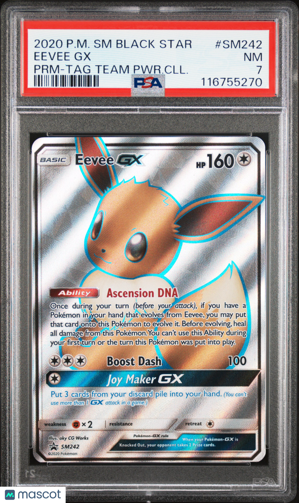 PokéNOLA Collectibles 