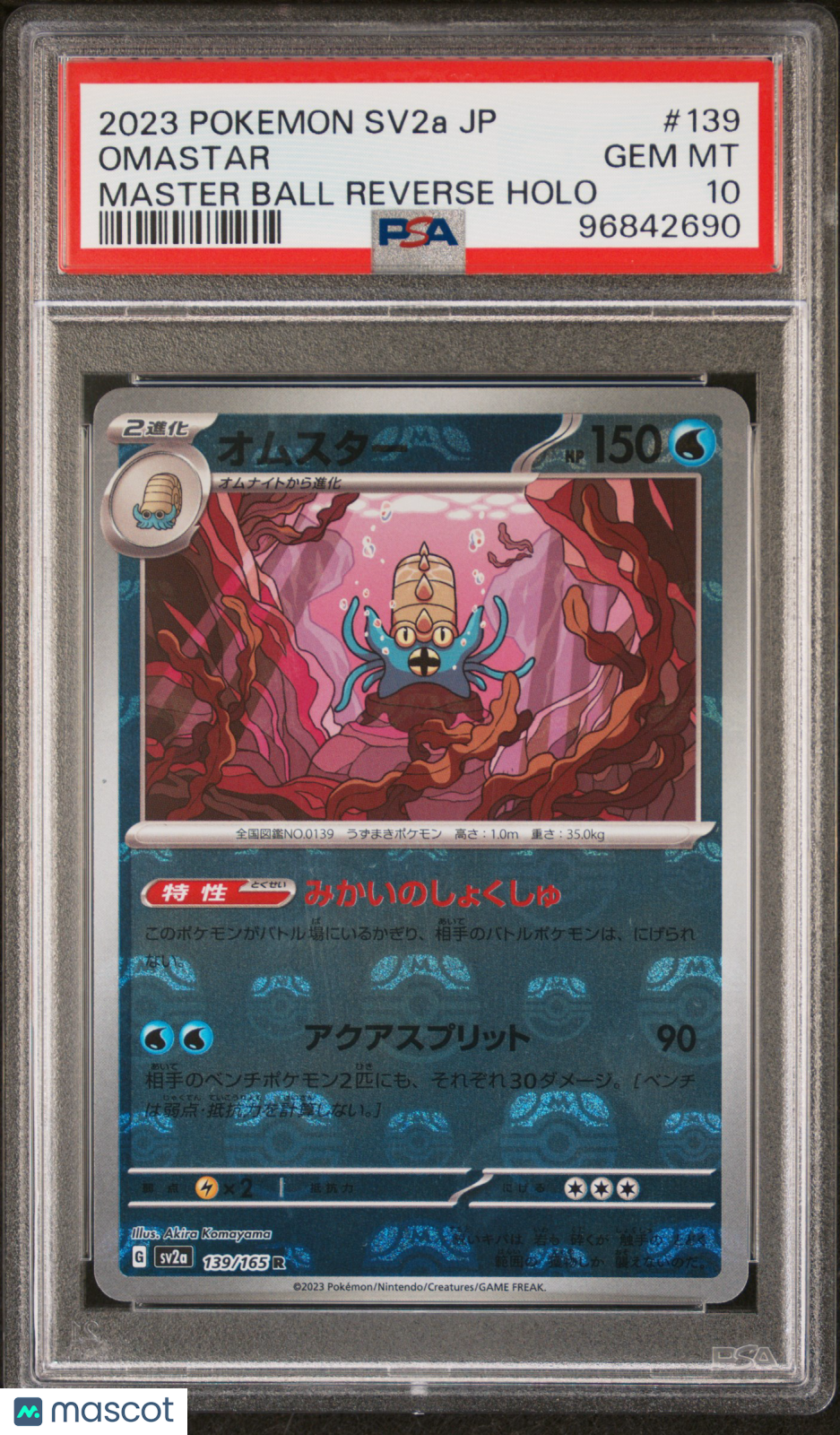 PokéNOLA Collectibles 