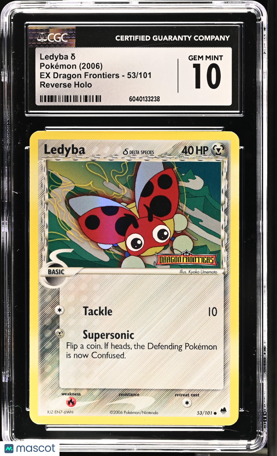 PokéNOLA Collectibles 