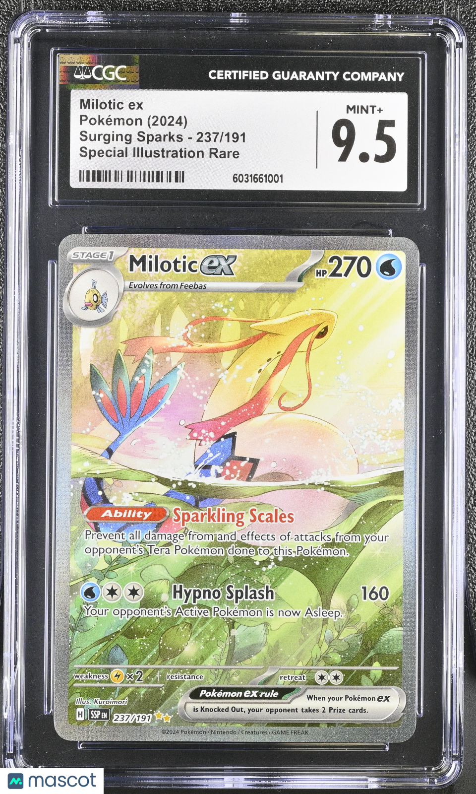 PokéNOLA Collectibles 