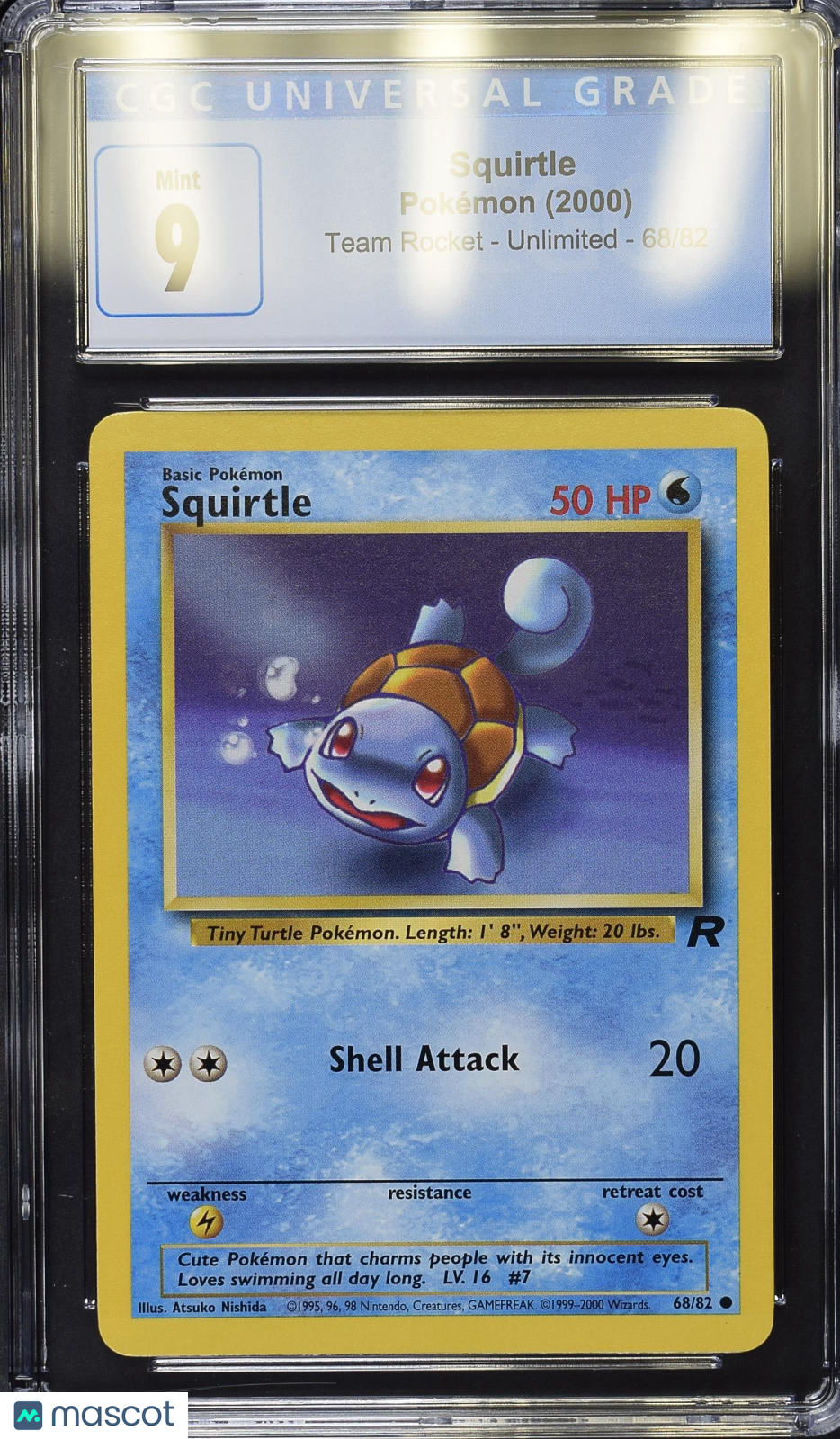 PokéNOLA Collectibles 