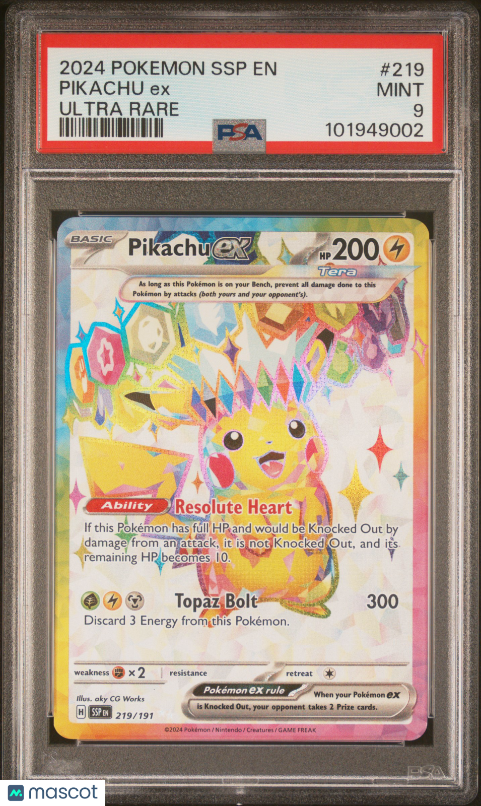 PokéNOLA Collectibles 