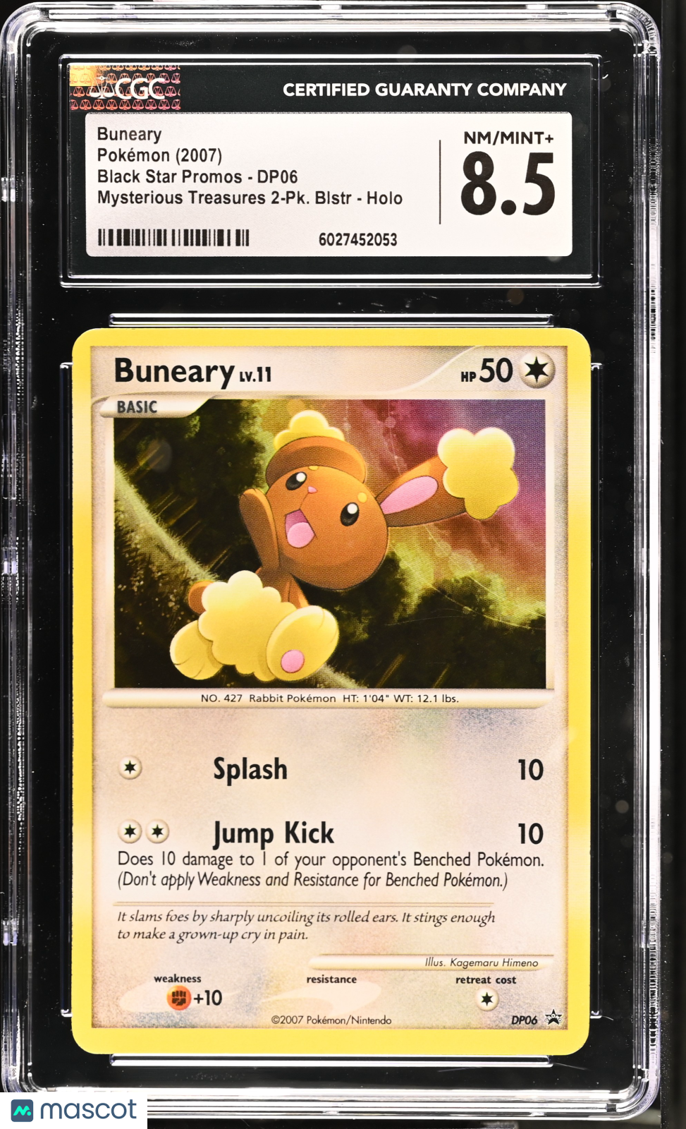 PokéNOLA Collectibles 