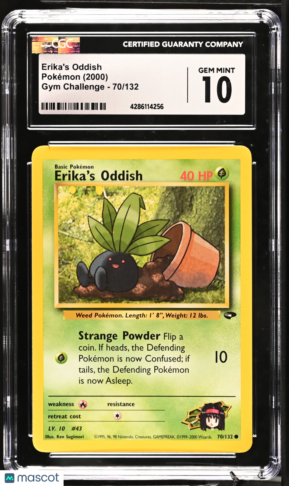 PokéNOLA Collectibles 