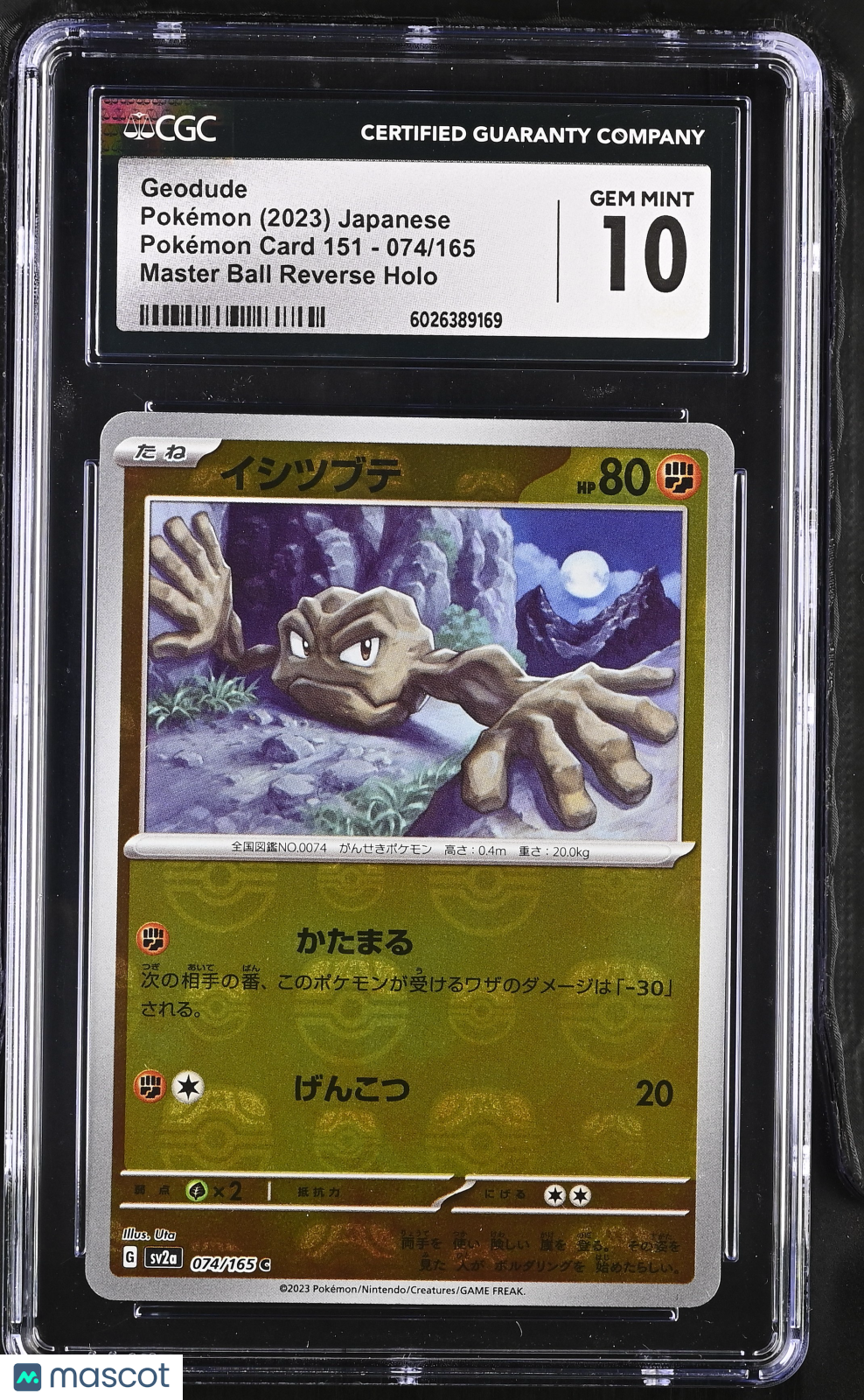 PokéNOLA Collectibles 