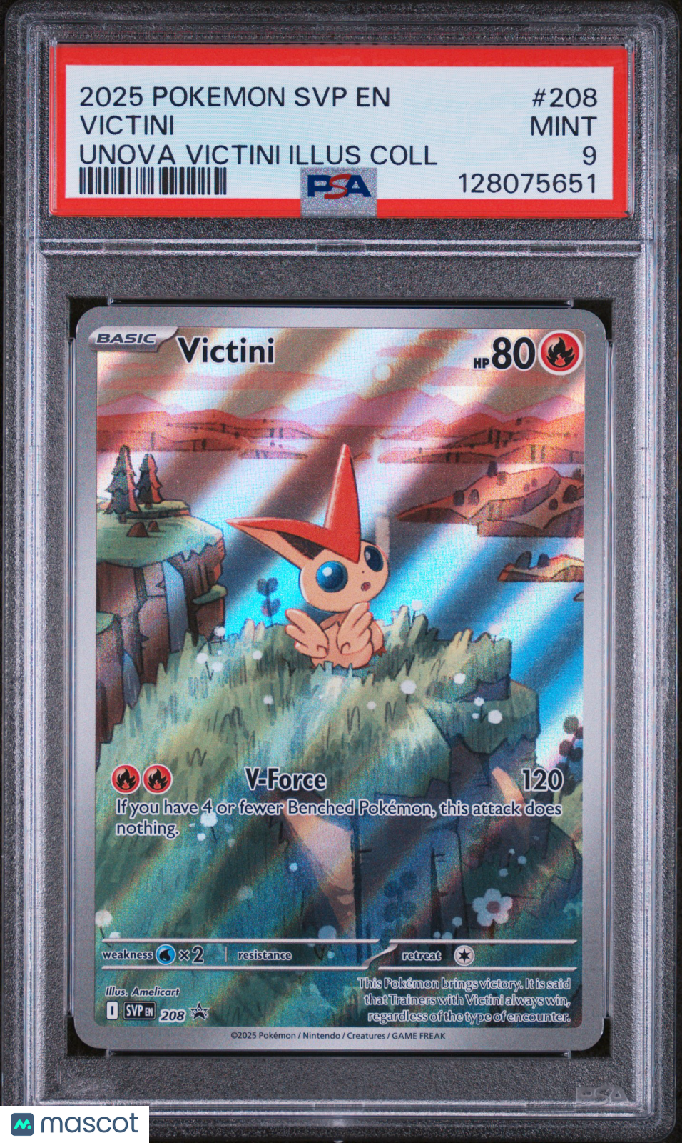 PokéNOLA Collectibles 