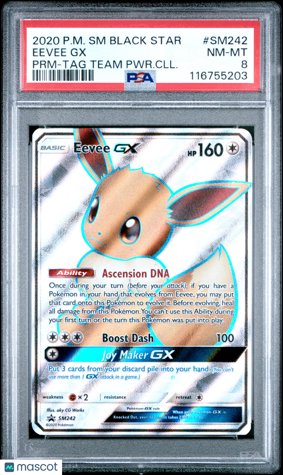 PokéNOLA Collectibles 