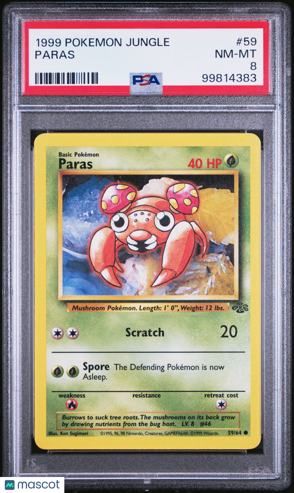 PokéNOLA Collectibles 