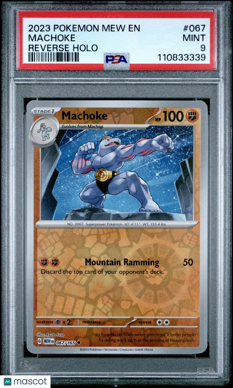 PokéNOLA Collectibles 