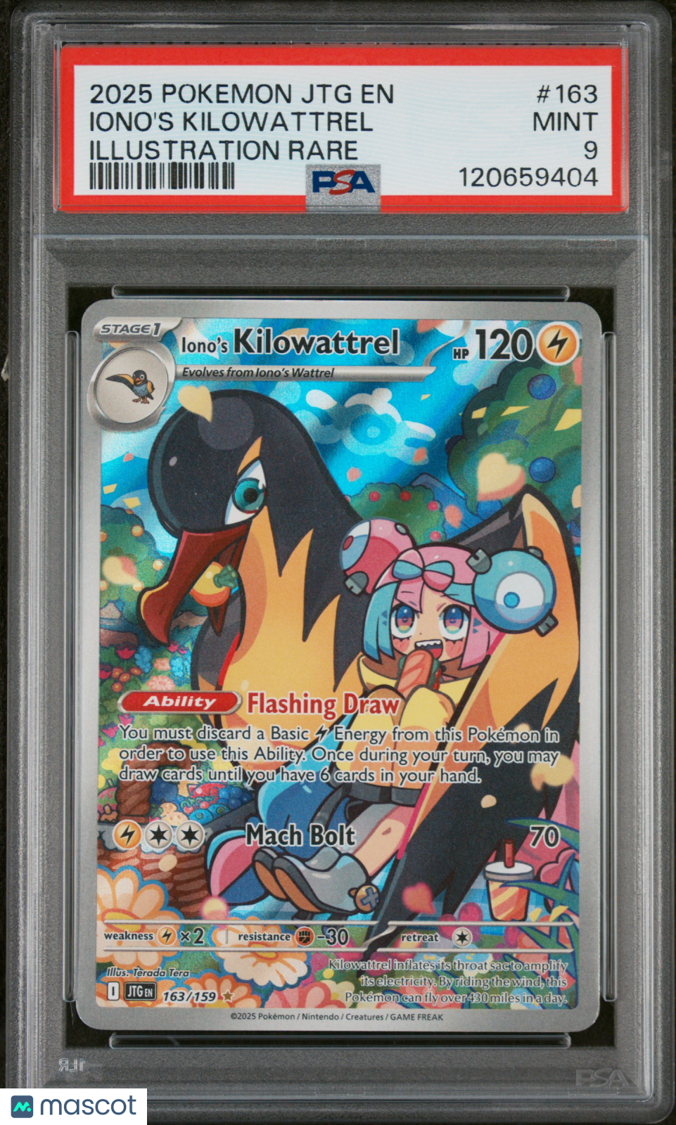 PokéNOLA Collectibles 