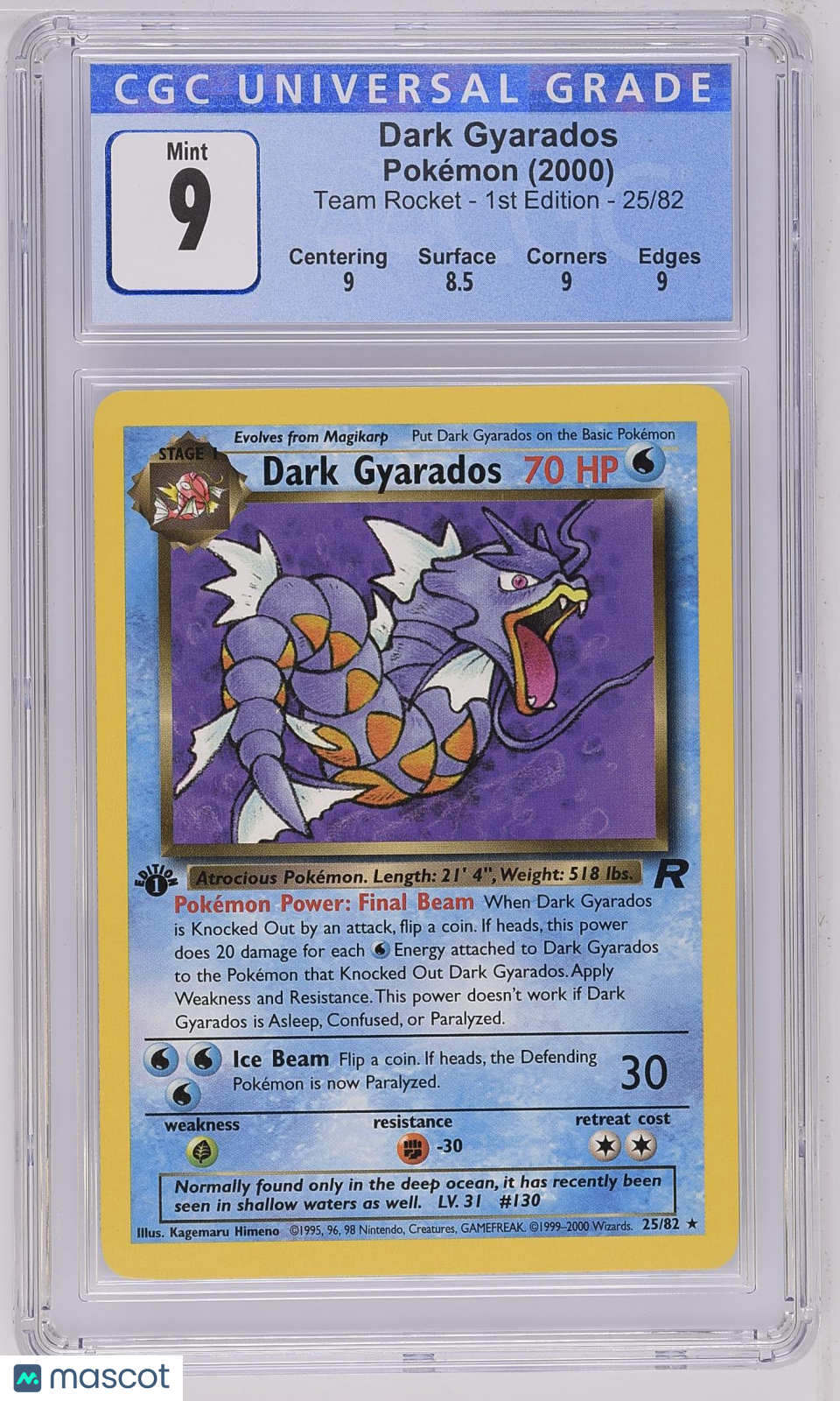 PokéNOLA Collectibles 