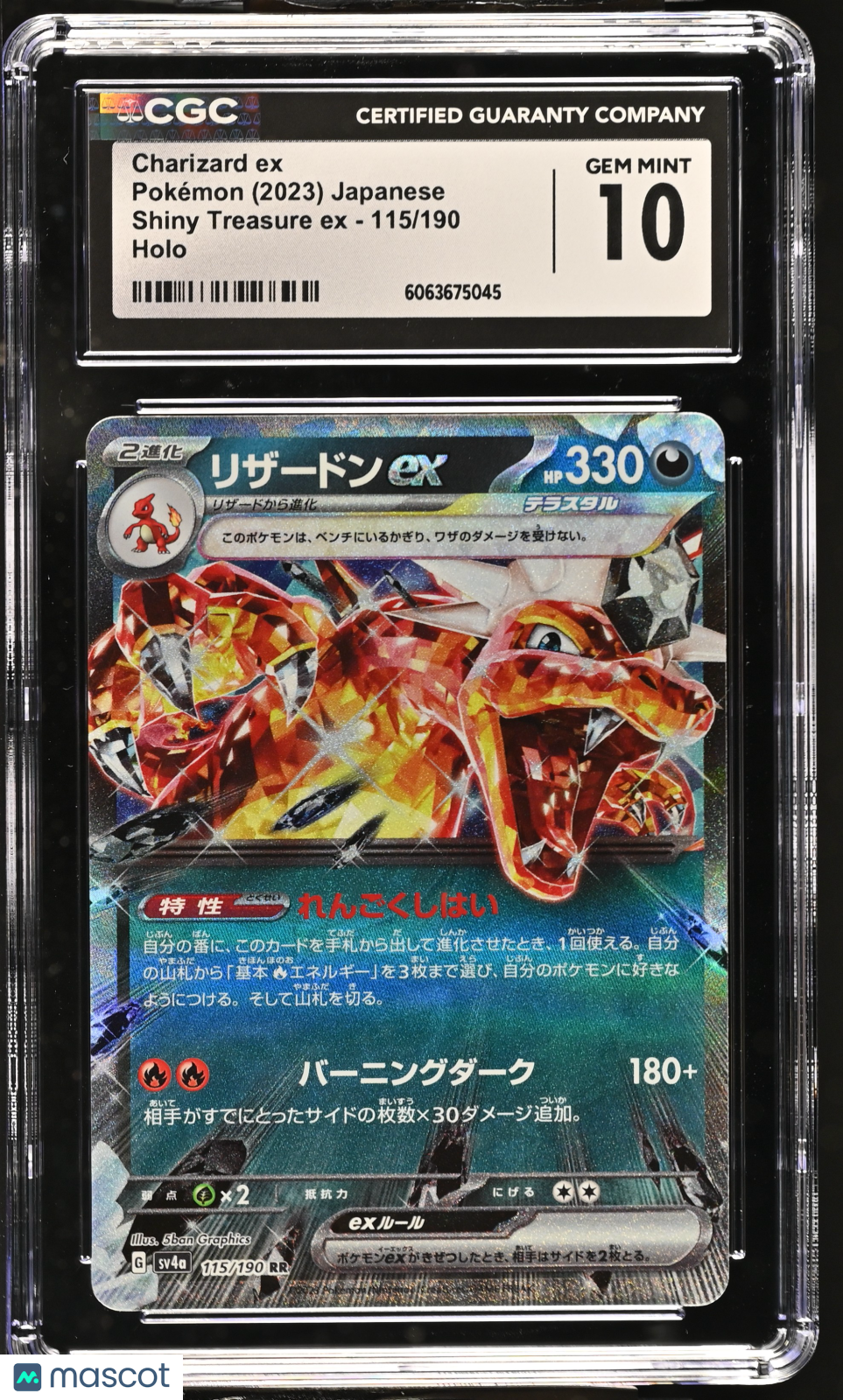 PokéNOLA Collectibles 