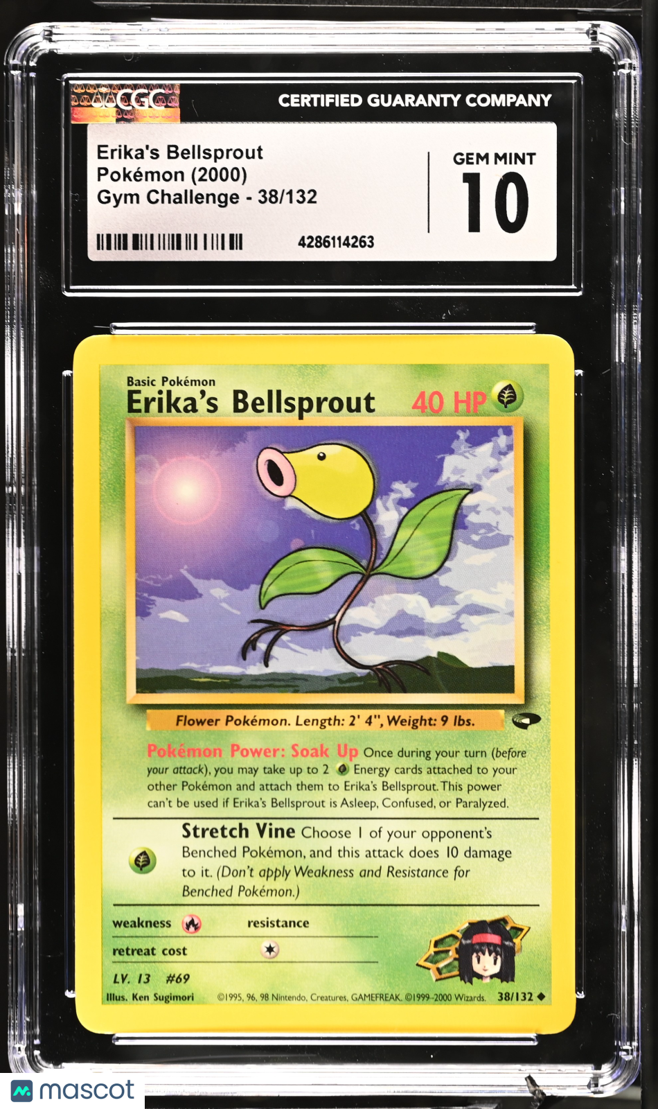 PokéNOLA Collectibles 