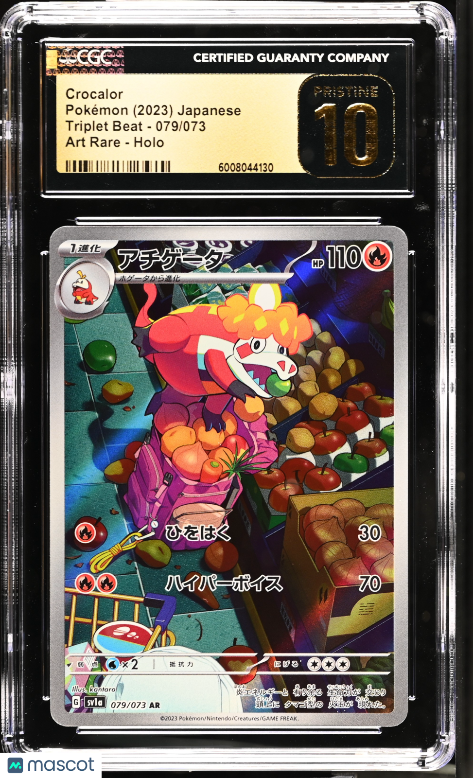 PokéNOLA Collectibles 