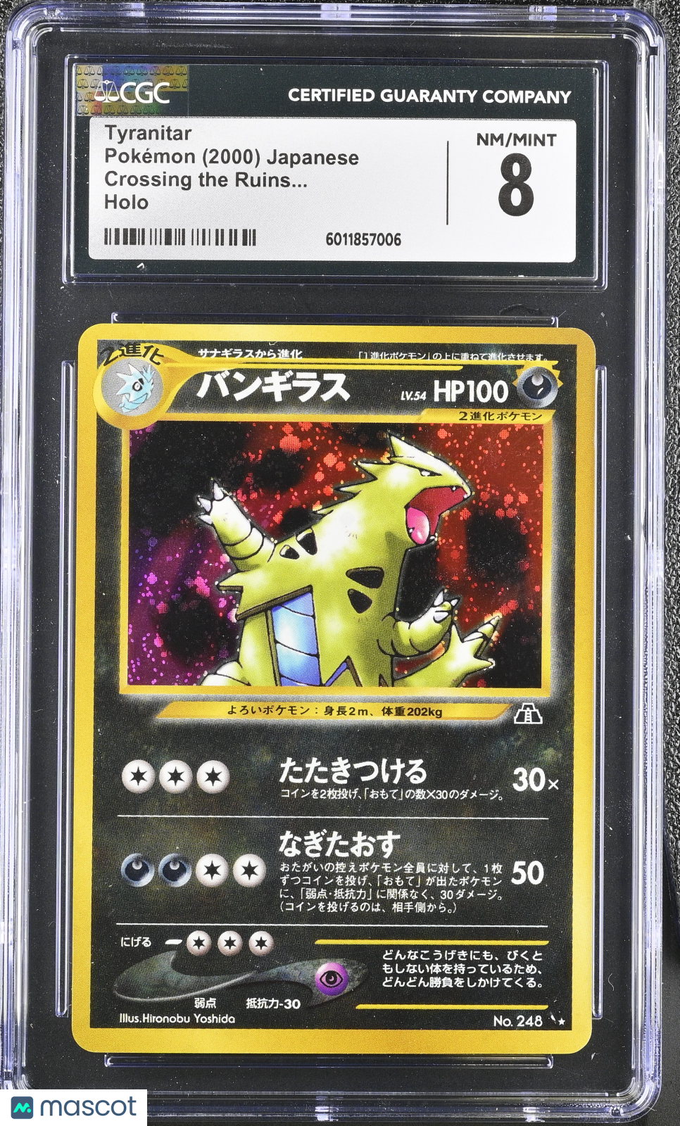 PokéNOLA Collectibles 