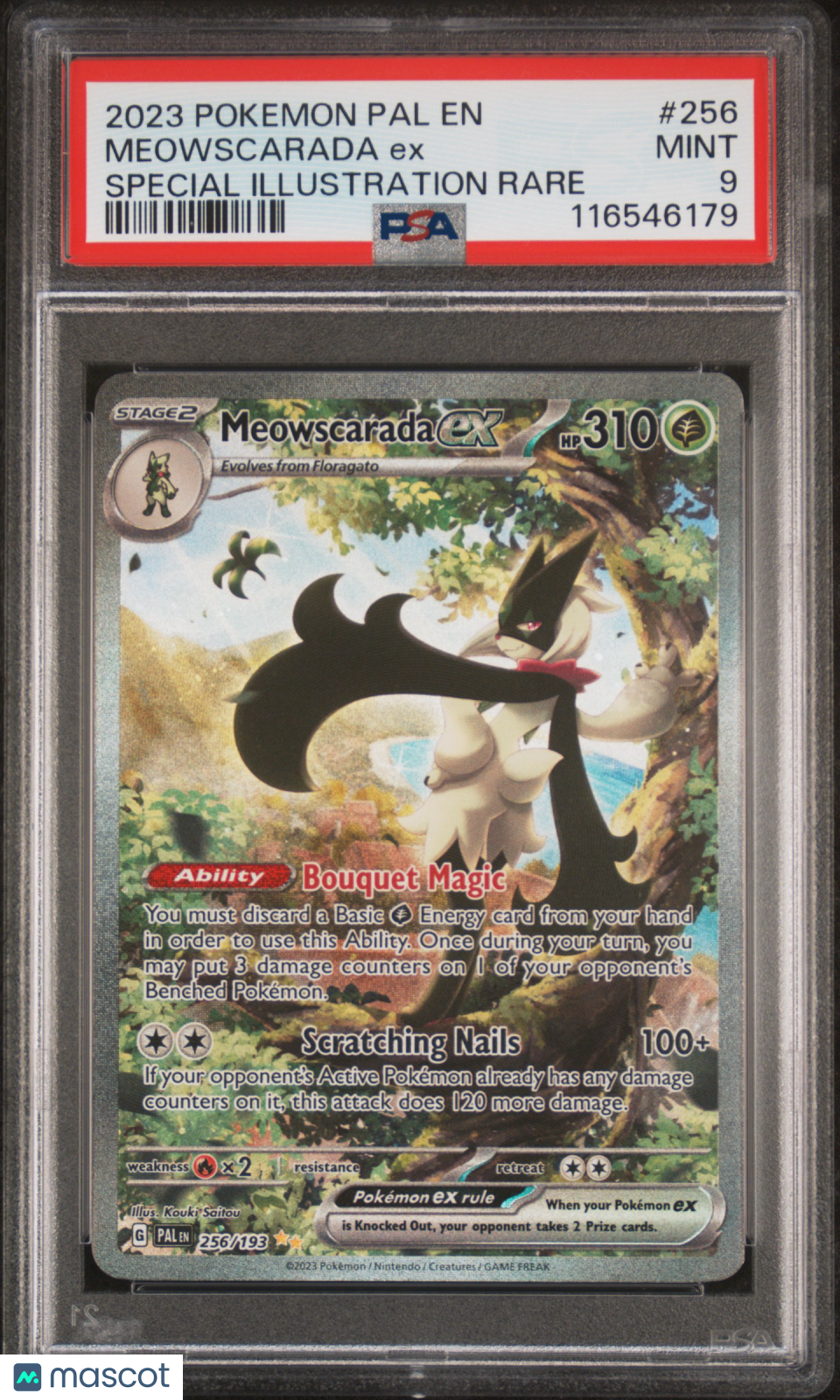 PokéNOLA Collectibles 